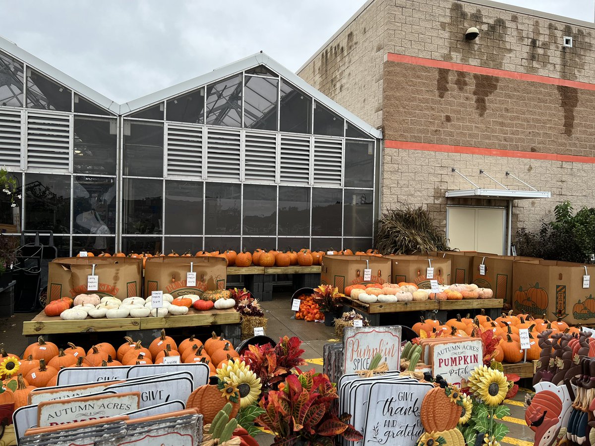 Looks great thanks Bell Nursery’s:)