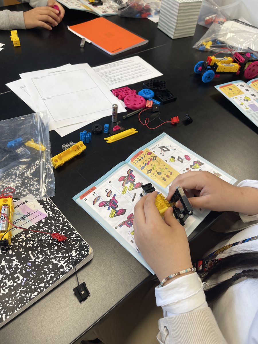 Lisa Ham tweet media