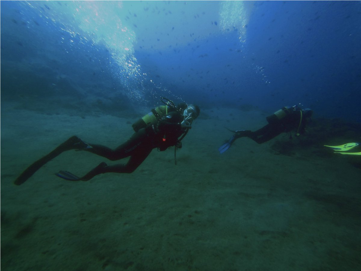 SilviaRguez's tweet photo. Feliz día internacional del buzo!
Happy international diver's day!
La mejor forma de celebrar 🔱 atravesar el nivel del mar 🐟
#diadelbuzo #diversday #scubadiving
#blackbeach #ElPoril https://t.co/6Y3SWDNmFX