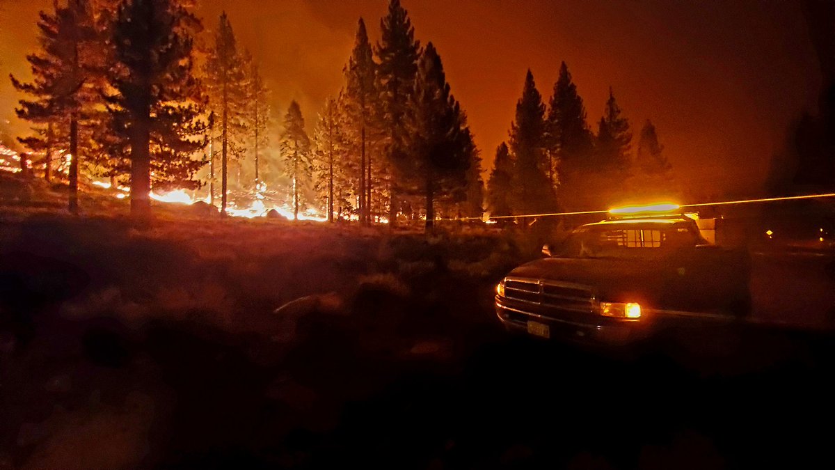 MoreGoodFire's tweet photo. We used this product with incredible success during the 2021 #CaldorFire. With 3 homes in Pollock Pines, and 6 cabins in Christmas Valley, all of our structures survived completely undamaged. Our own testing has shown this product to provide a 90% decrease in flame intensity. https://t.co/BZw5ImDQ0y