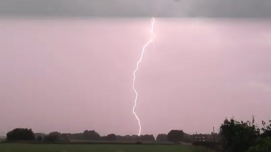 Kevin Bradshaw tweet media