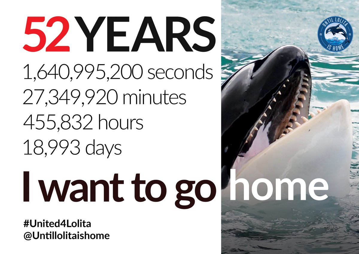 FreeCaptiveOrca's tweet photo. #FREELOLITA π€π
Tokitae Knows Who She is and Where She Belongs
Toki learned to share salmon as a member of her family and part of her culture before her capture.
https://t.co/Jtj6jY96h8
#TokiArmy https://t.co/36dpHJUjUj