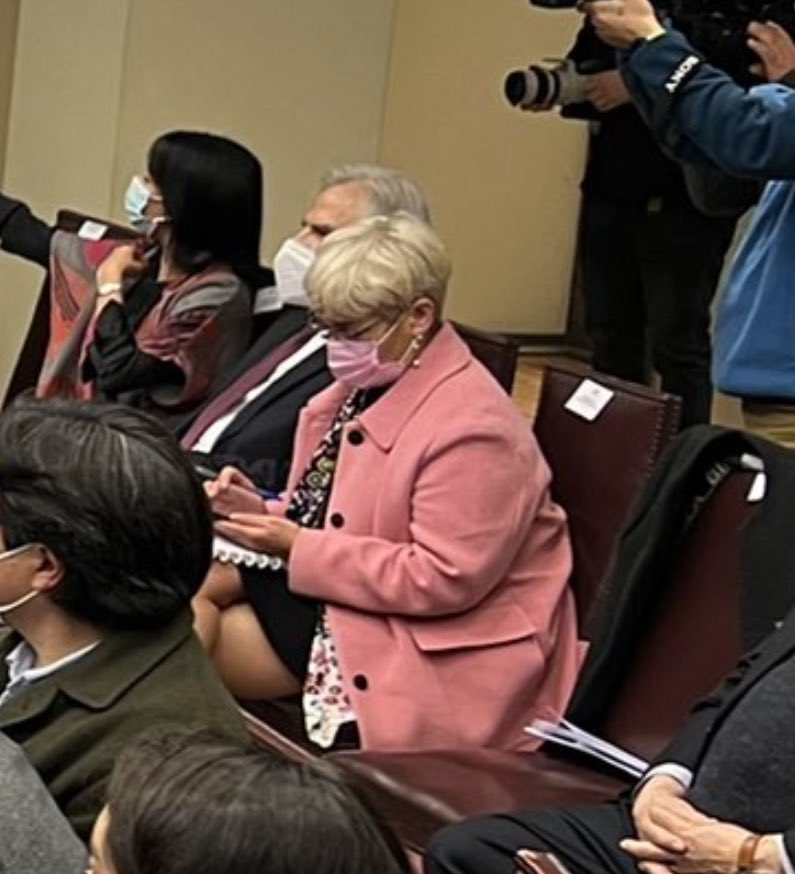 Rechazaste Art 172 de la nueva Constitución “No podrán optar a cargos públicos personas condenadas por delitos sexuales, violencia intrafamiliar, corrupción o fraude al fisco”

Y acá esta sentado Iván Moreira negociando el nuevo proceso constituyente 🤷🏻