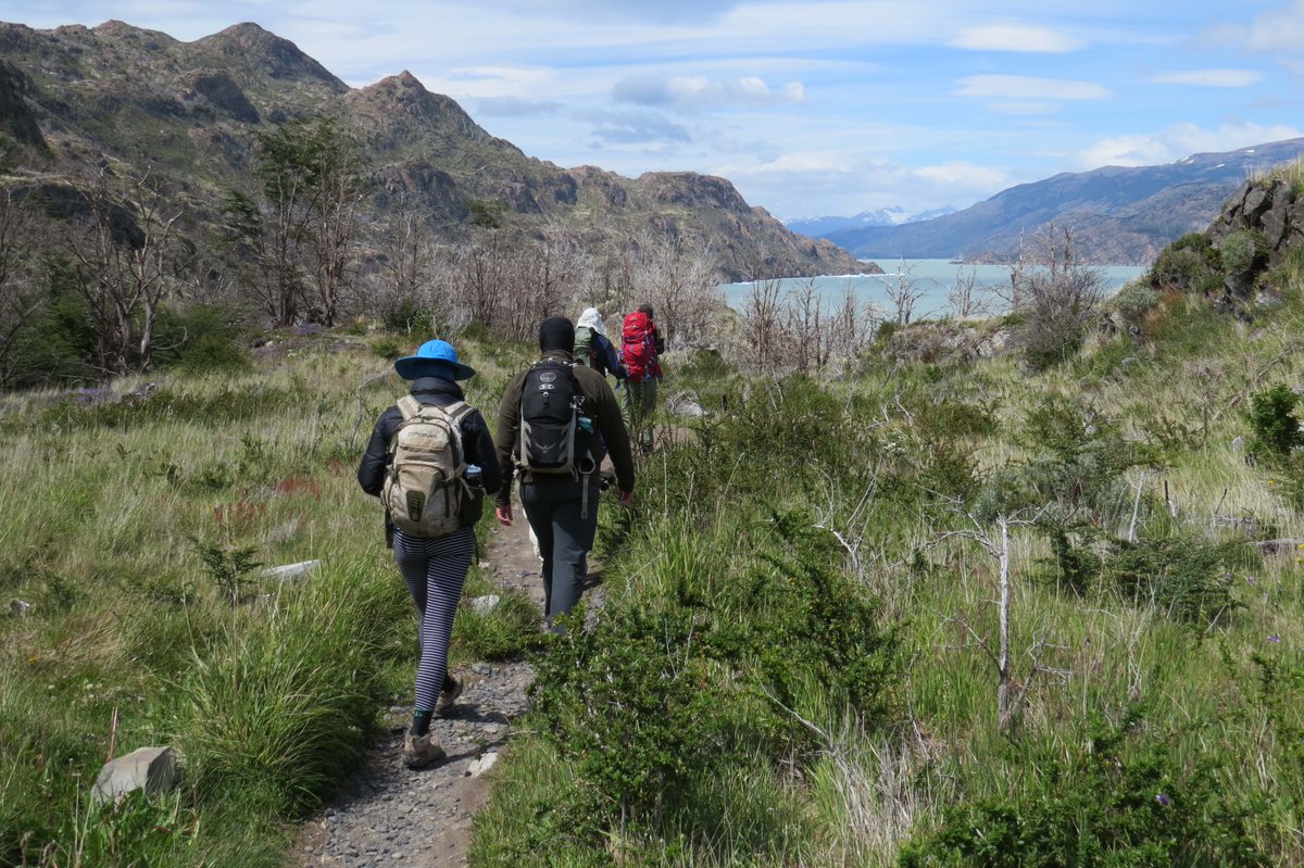 NatGeoEducation's tweet image. “Don’t be afraid to change your path.” —Marcelo Kubo

#ExplorerClassroom