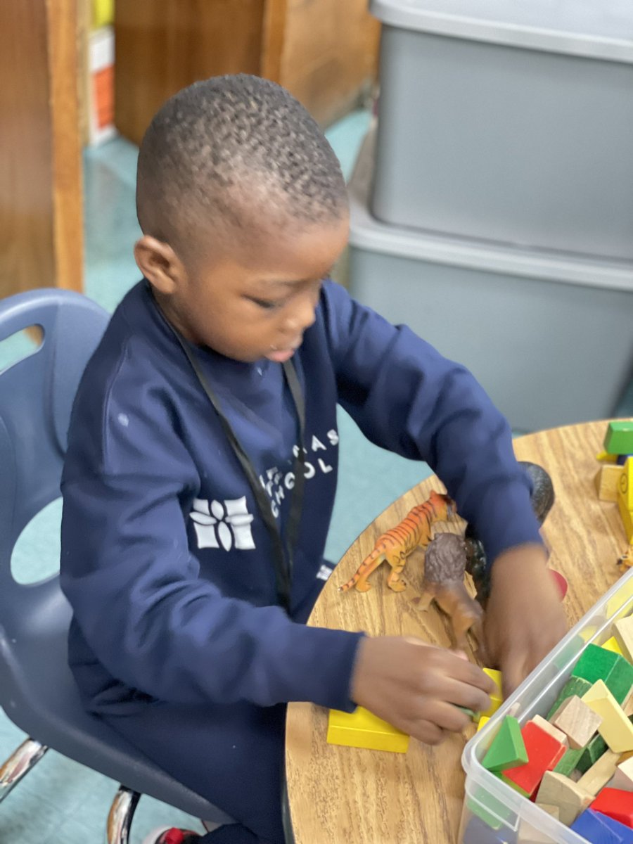 Fiona Chalmers tweet media