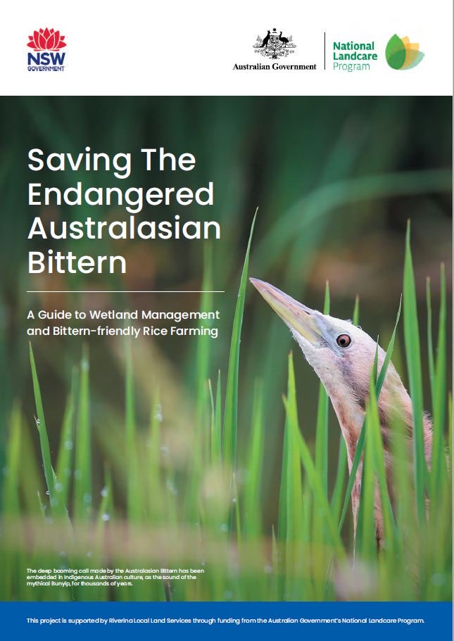 A new bittern conservation booklet has just been produced. It has all the latest info on their ecology, distilled for the general public. 

“Saving the Endangered Australasian Bittern: A Guide to Wetland Management and Bittern-friendly Rice Farming”

bitternsinrice.com.au/new-booklet-sa…