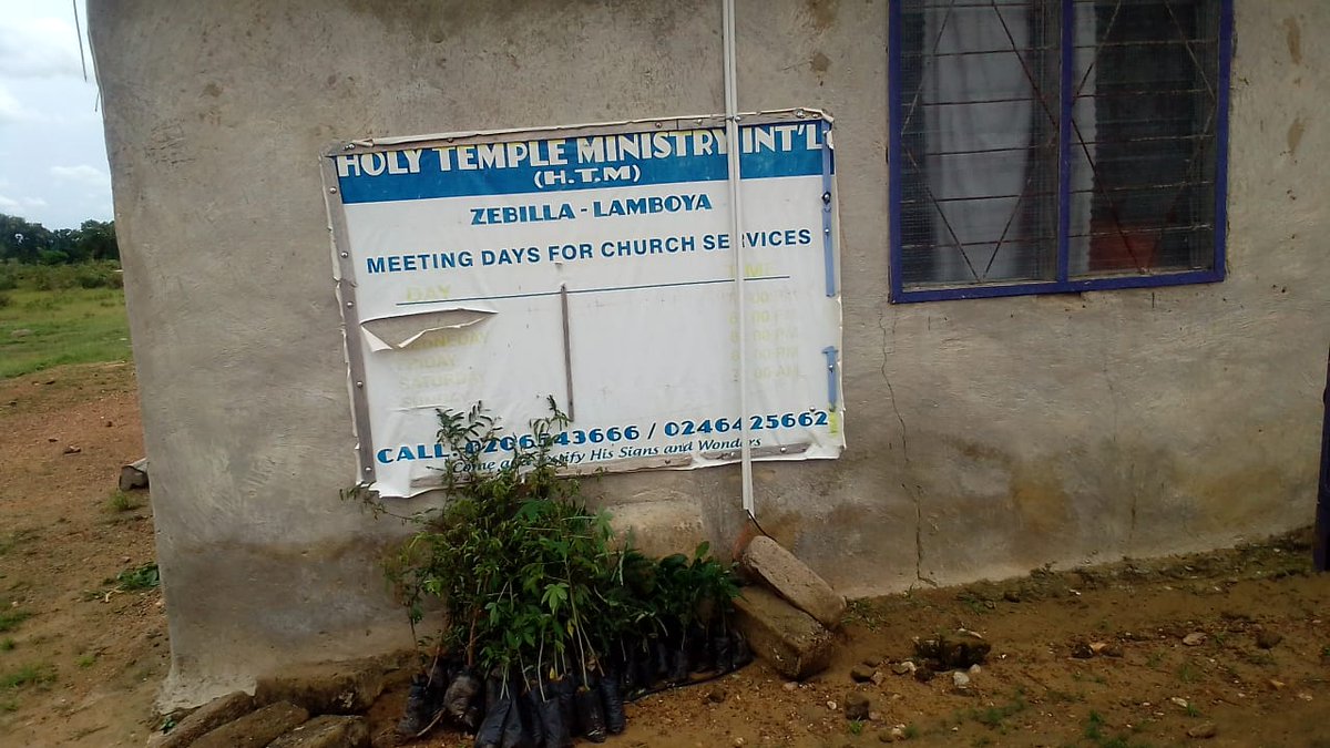 debrahdaniel6's tweet photo. @GLFChapters
The Holy Temple Ministry International Church was not left out. The GLF-Bawku chapter donated 60 native seedlings(tamarind, locust bean, mahogany, and Kapok) and followed up with the planting of all the seedlings around the church premises. #glfchapters https://t.co/Ch8GPRGK9o