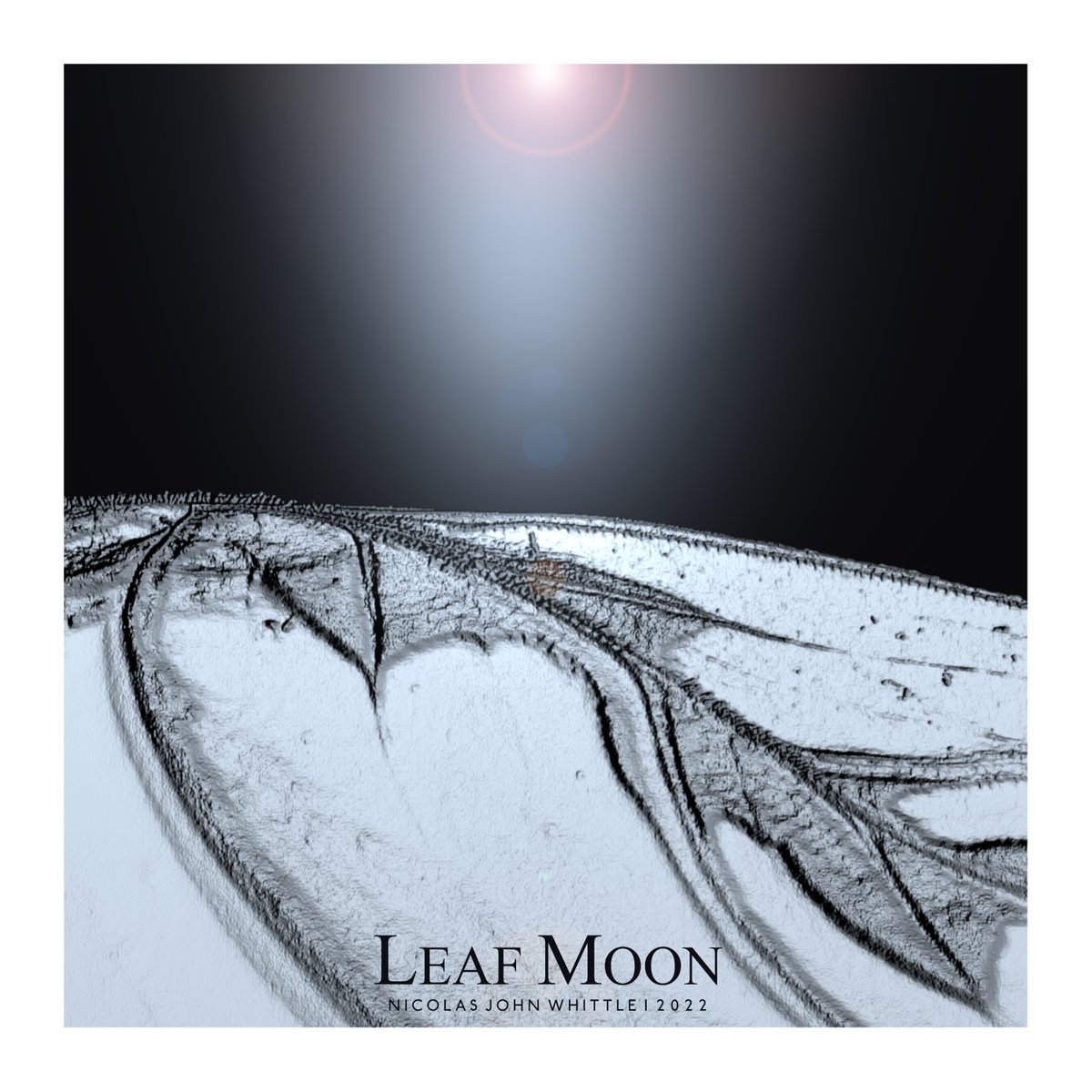nickjohnwhittle's tweet photo. No.13... #leafmoon #leafart #plantart #leafanatomy #plantlife #houseplantlover #houseplantaddict #Ctenanthe #foliage #texture #lunarlandscape #moonscape #moon #photography #photoart #etsyshop https://t.co/bgsvb1pFYI https://t.co/rf2EORh2xf