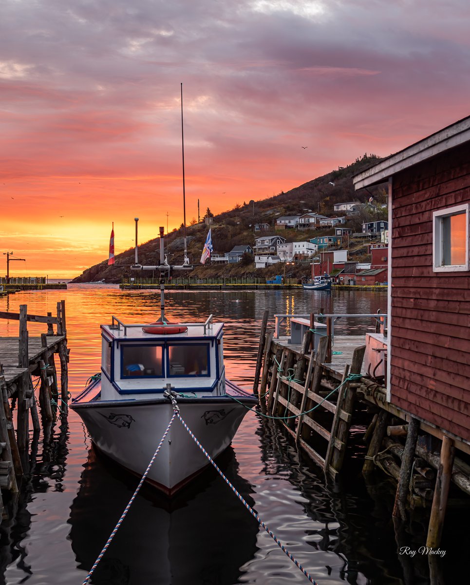 Petty Harbour , Newfoundland. Morning Solace. #newfoundland #sunrise #life #color #explorenl #NL #canada #rurallife