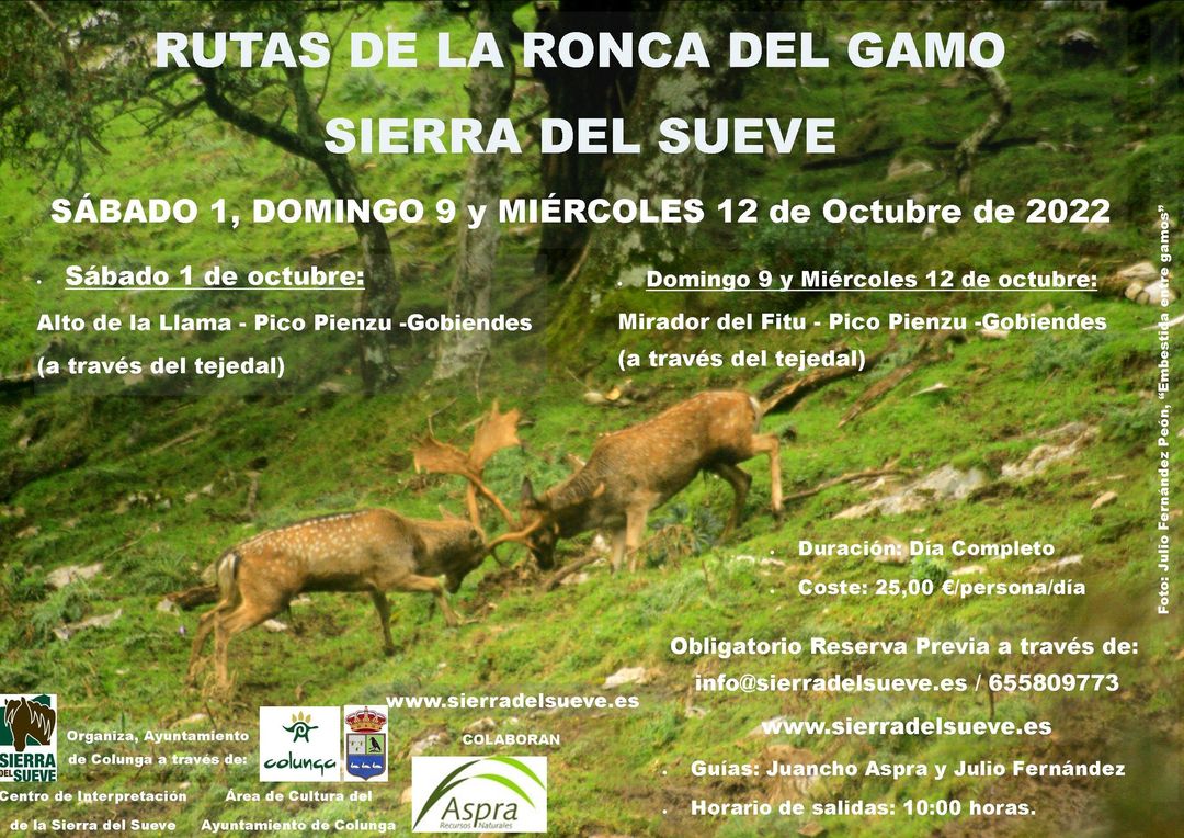 sierradelsueve.es