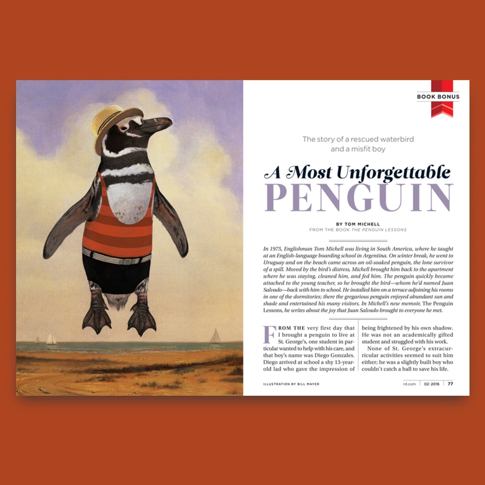 TheWeberGroup's tweet photo. Bill Mayer's Unforgettable Penguin  https://t.co/ZWCKOUL7Mh #TheWeberGroup #TWG #ArtRep #Illustration #BillMayer #Gouache #MagellanicPenguin #BoaterHat #ReadersDigest https://t.co/K9E8aun4bB