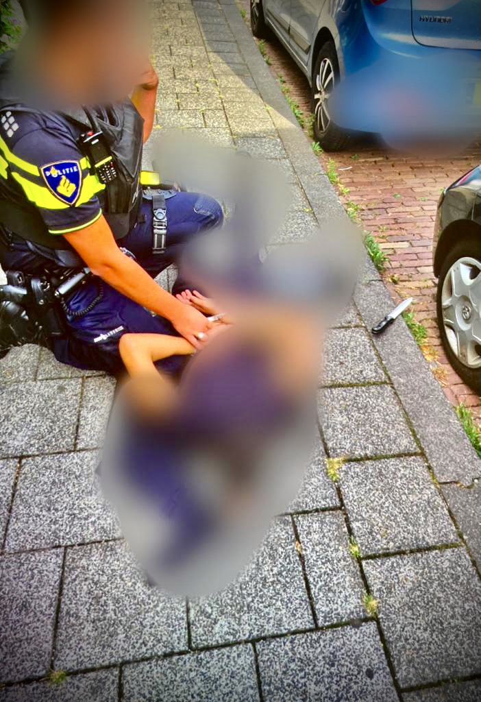 Diefstal tas onder bedreiging van een mes in het merwesteinpark. Door kordaat optreden slachtoffer en omstanders konden binnen 8 minuten twee daders van 15 en 16 jaar worden aangehouden. #Dordrecht #straatroof #misdaadloontniet <a href="/POL_Dordrecht/">Politie Basisteam Drechtsteden Binnen</a> <a href="/POL_Rotterdam/">Politie Eenheid Rotterdam eo</a>