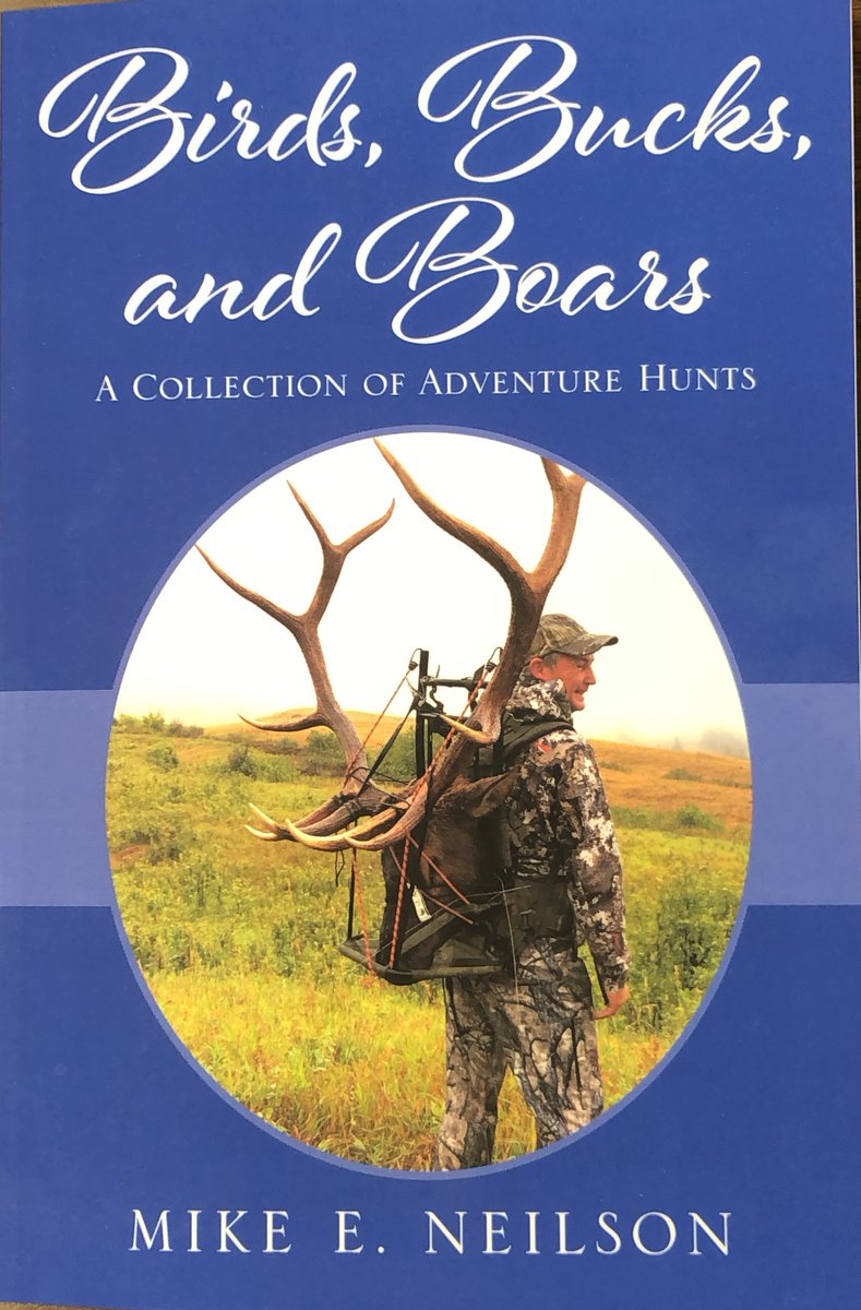 meneilson's tweet photo. My new book is now available at The Authors' Patch. https://t.co/PdoZsIRrcQ
