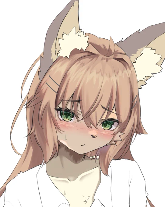 うぃp 