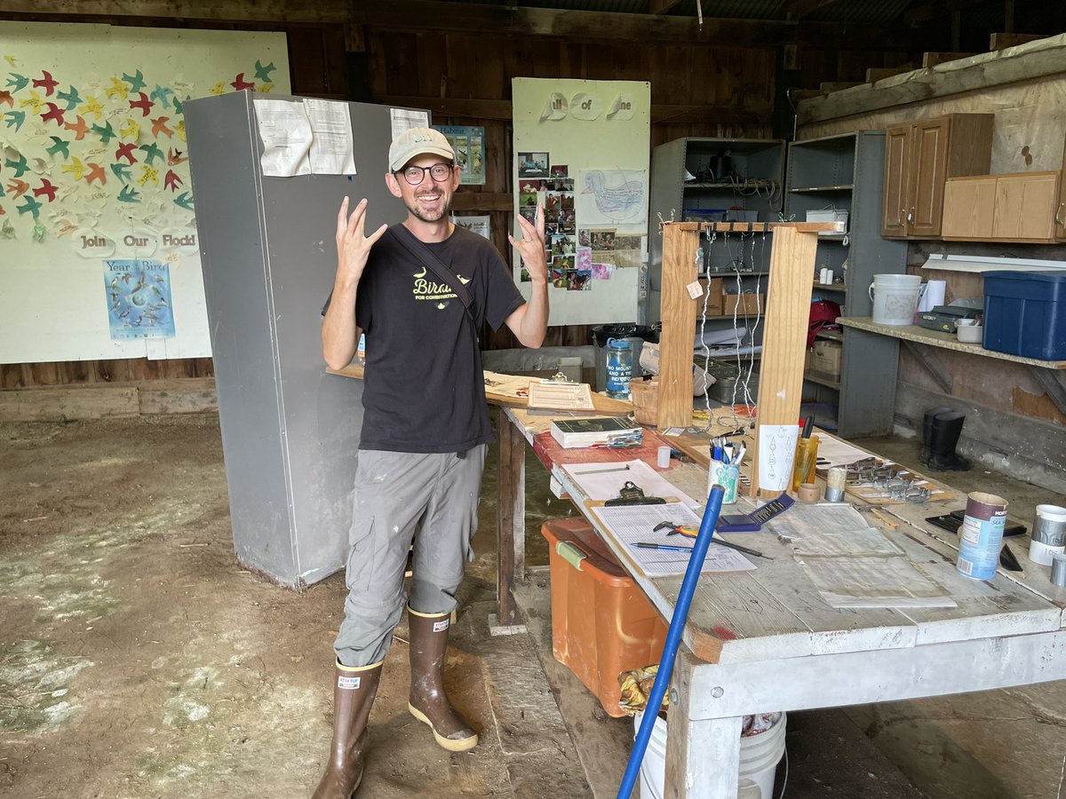 dhitchcox's tweet photo. Incredible capture today by @pterodromas at @briloonME’s banding station in West Falmouth: WESTERN WOOD-PEWEE! https://t.co/d3hQ5BFXI8