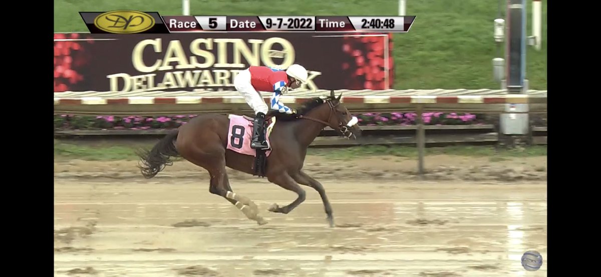 KellyRubley's tweet photo. Congratulations to Hall Stables LLC, @hallstables &amp; @loveof_diamonds!  Katie Got Lucky wins MSW at Delaware Park in her second asking.  Katie was named by a beloved family friend who is no longer with us!  I’m sure she has made him proud!  Great trip by @jockeydcenteno! https://t.co/57Eg9oAXlh