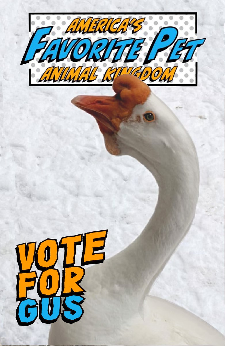 BearBrookRescue's tweet photo. If you could… please vote for Gus. It would be a great help for the Rescue. Voting is free and you can vote today and tomorrow before it’s over.
Please VOTE FOR GUS!

https://t.co/roxZLDHxiM https://t.co/2B9eQ3sjQ2