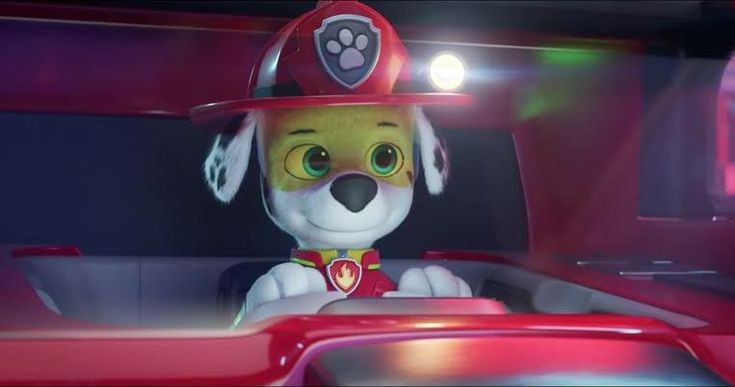 _chasepawpatrol's tweet photo. https://t.co/YJHY9f5fcc