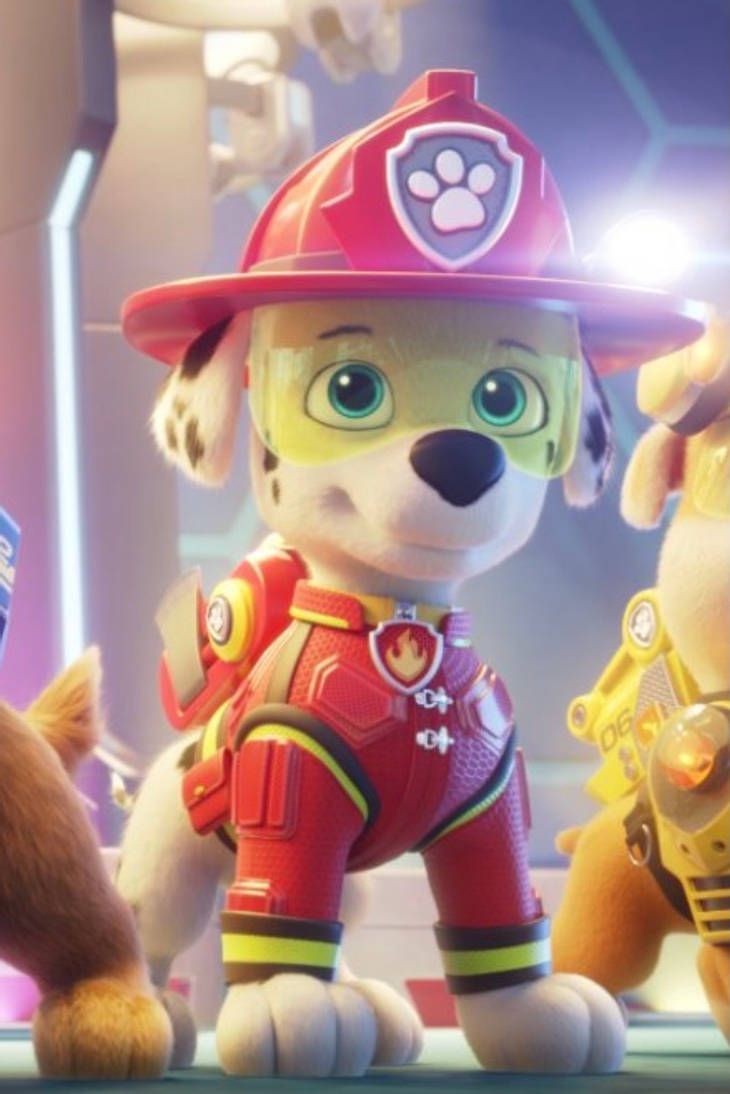 _chasepawpatrol's tweet photo. https://t.co/NbUJvmdZcm
