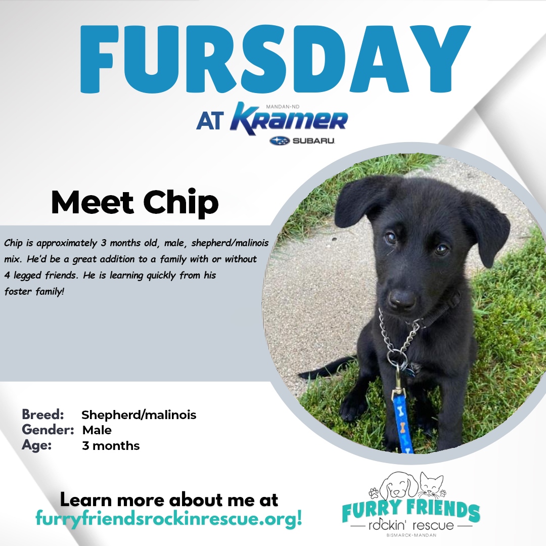KramerAutomoti2's tweet image. 🐾 Meet Chip this #FURsday! 
Come out to #KramerSubaru and say hello to our awesome team and our friends at !