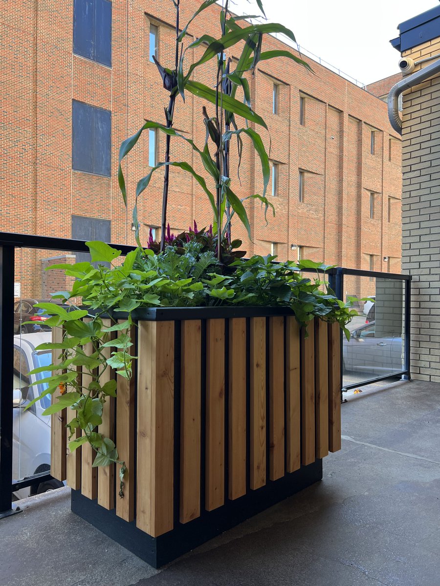Chris Buyze (@chrisbuyze) on Twitter photo We've had such positive reviews of our <a href="/BLDGinc/">Battle Lake</a> custom-designed wood planters we decided to offer them for sale.
Find out how you can order your own Battle Lake Planter today! bldg.ca/2022/09/06/bat…
#gardening #design #edmonton We've had such positive reviews of our <a href="/BLDGinc/">Battle Lake</a> custom-designed wood planters we decided to offer them for sale.
Find out how you can order your own Battle Lake Planter today! bldg.ca/2022/09/06/bat…
#gardening #design #edmonton