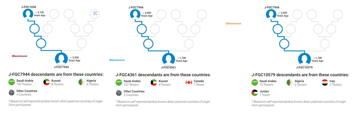FGC7944DNA's tweet photo. أخر تحديث للأعمار
لموقع #FamilyTreeDNA
عمر التحور الجامع #FGC7944
وكذلك عمر التحورين المتفرعين منه
النجدي -التميمي - #FGC4361
الحجازي -القرشي- #FGC10579
وكذلك ما تفرع منهما https://t.co/BGU87B2uam