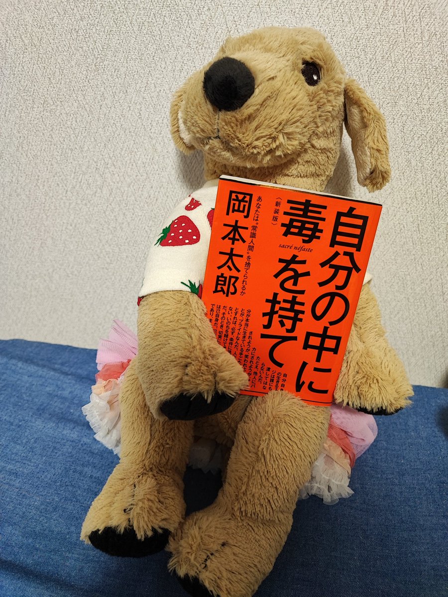 mikaphoto715's tweet photo. #岡本太郎 #自分の中に毒を持て #イケゴル #ぬい撮り #アズノゥアズデワン #IKEAdog #IKEAgolden #gosiggolden https://t.co/Ak7FBggx3x
