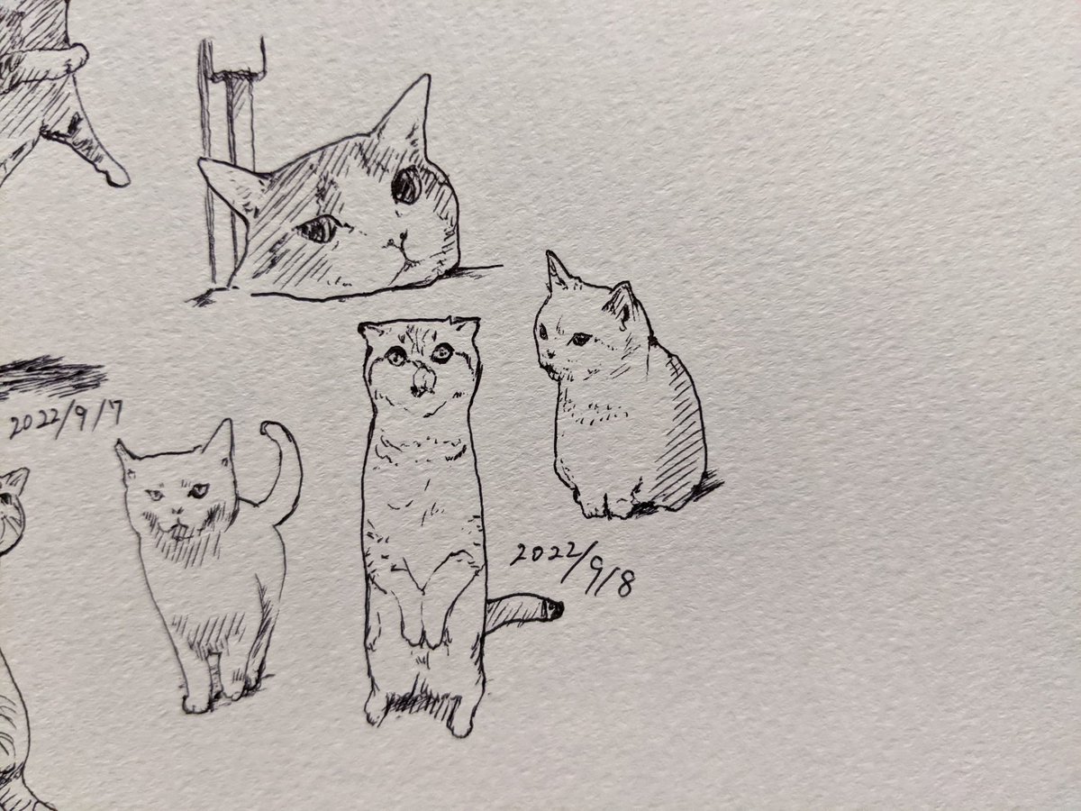 カキカキ。って書かないとなんかしっくりこないのでカキカキ。復活させるし カキカキ。 