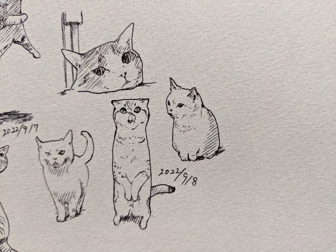 カキカキ。って書かないとなんかしっくりこないのでカキカキ。復活させるし カキカキ。 