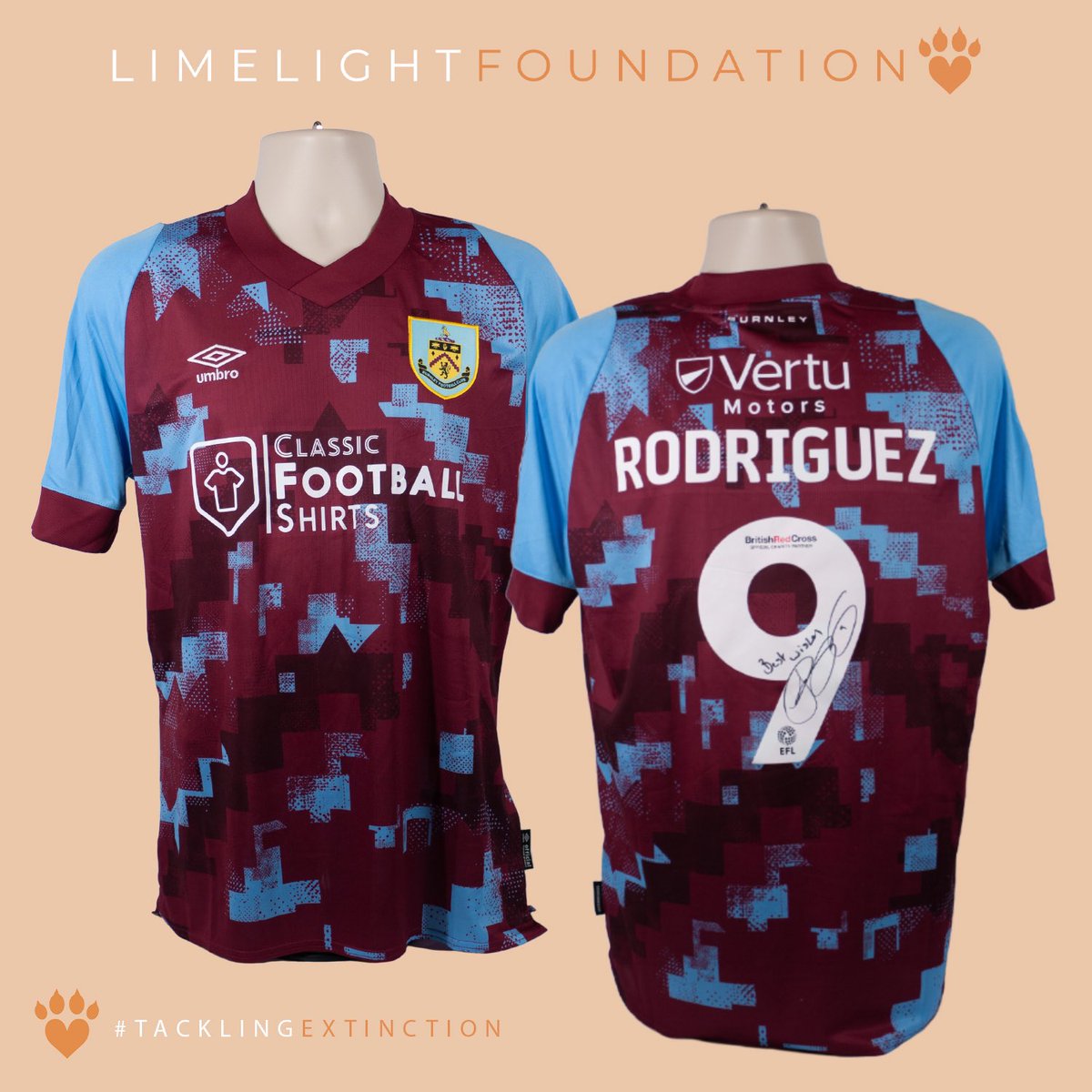 Thank you so much to @JayRodriguez9 for being the latest player to donate his match worn shirt to the Limelight Foundation.  For your chance to win this shirt visit the <a href="/TheLimelightFDN/">The Limelight Foundation</a> website and place your bid.
#tacklingextinction #jayrodriguez #burnley #matchworn