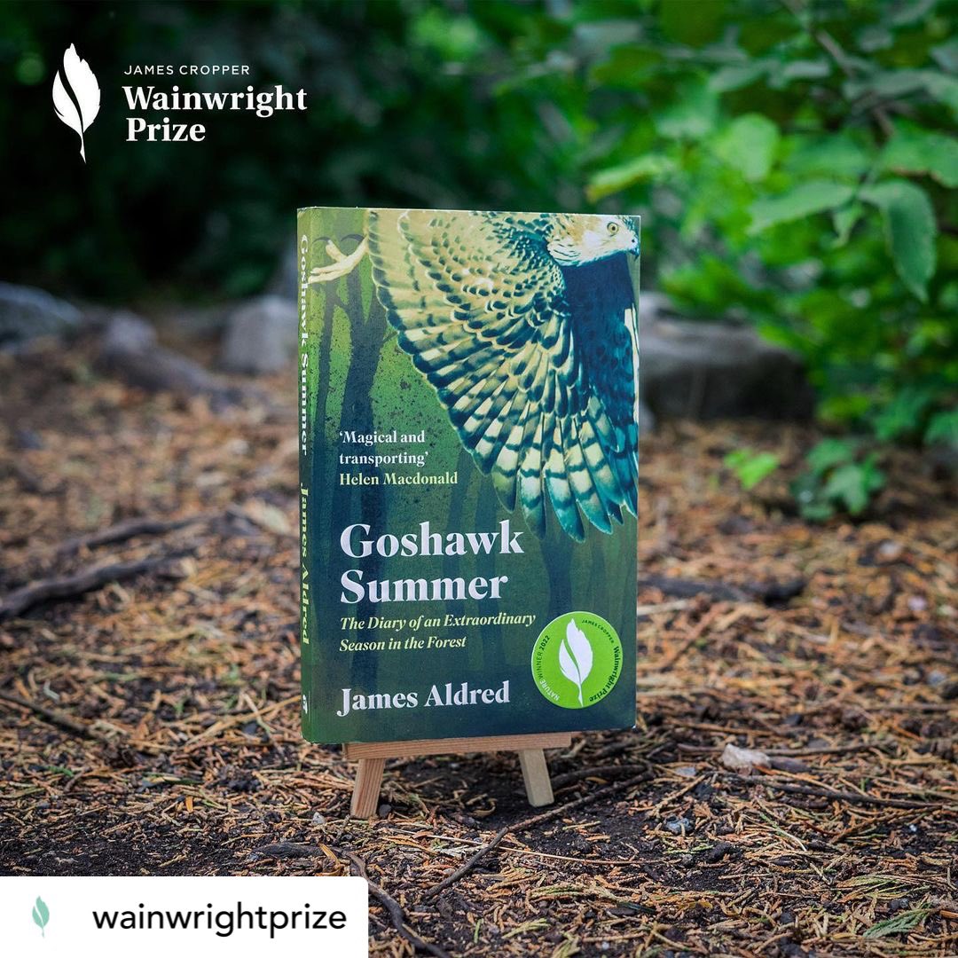 RedLionBooks's tweet photo. Such a beautiful and prestigious prize to win 💚@wainwrightprize
Congratulations to ‘Goshawk Summer’ by James Aldred @jraldred on being awarded the James Cropper Wainwright Prize for Nature Writing #WainwrightPrize22 #JCWP22 https://t.co/v4qNZUtApD