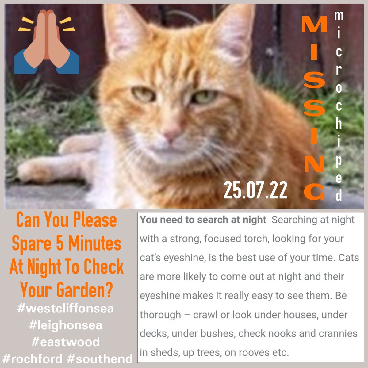 WrennHaye's tweet photo. CAN YOU HELP PLEASE?
@FINDGINGERESSEX on Facebook for full details Including contact no. Please RT. Thank you.
#Westcliffonsea #westcliff #leighonsea #eastwood #southend #Rochford #essex #lostpets #foundpets @petsarefound @The_Animal_Team @PetsLocated https://t.co/QmwX28YAOa