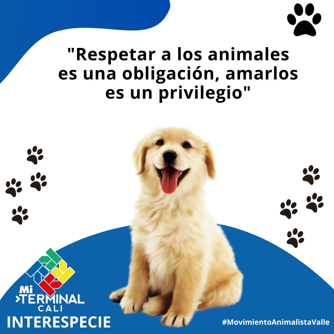 MiTerminalCali's tweet photo. Nuestros animales merecen ser Cuidados, amados y respetados.
.
.
.
#sueñaconundestinoydéjalorodar #MovimientoAnimalistaValle #miterminalcali https://t.co/1zLHdgzO4q