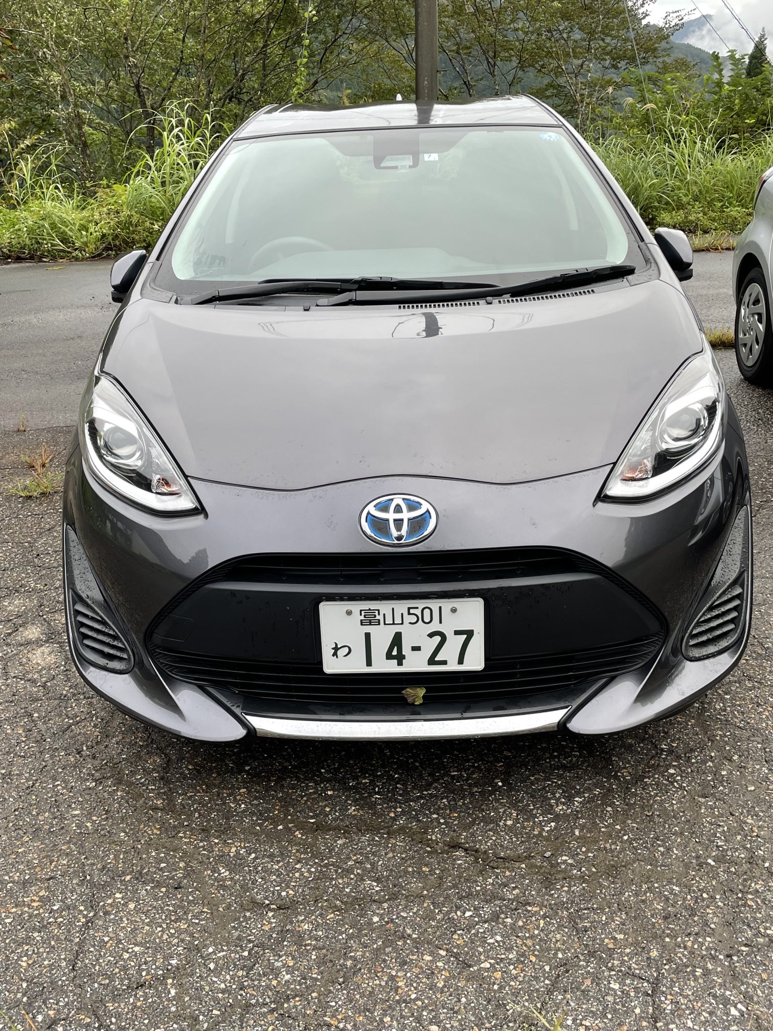 トヨタレンタカー Twitter Search Twitter