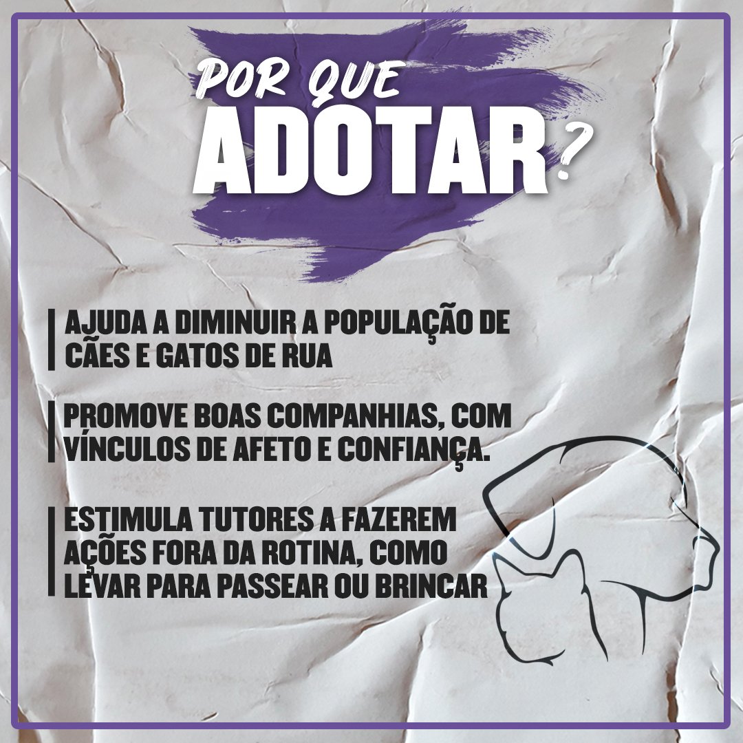 Para conhecer mais sobre o autor do post, acesse:

linktr.ee/FalcaoEmmanuel