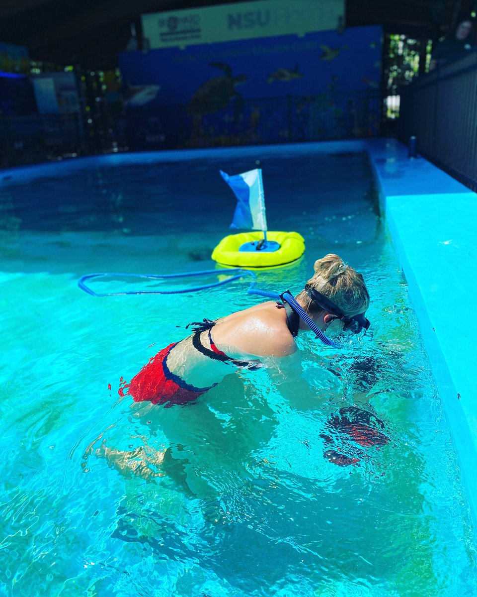 SeekTheMEEC's tweet photo. Keeping up with the turtle enclosure can be hard work! Thanks to @diveblu3 the work got a little easier!!
With the wonderful donation of a BLU3 Nemo system, we are able to breathe underwater to get the job done! Thank you!!
#browardcounty #novansu #diveblu3nemo #diveblue https://t.co/HDc5KjTFbM