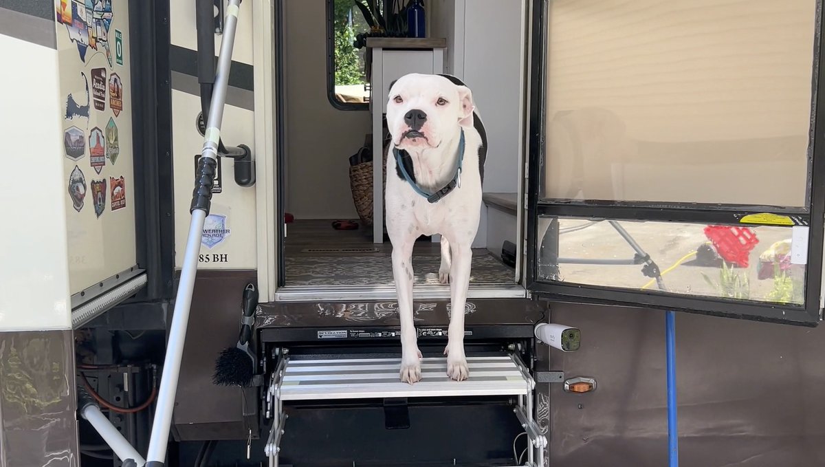 Check out these tips from <a href="/our1chance/">Our 1 Chance</a> on pet safety monitoring, so you can feel safe and secure leaving your pet in your RV. 
gorving.com/tips-inspirati…
#GORVING #RV #Pets #Tips #Travel