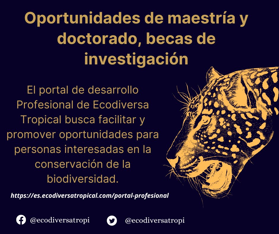 ecodiversatropi's tweet photo. ¡Visítanos!
https://t.co/VsnxBpmeaA https://t.co/MsE1hOhdMs