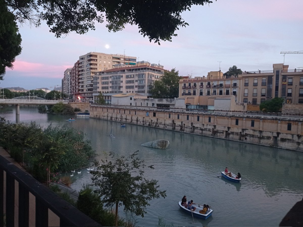 Sergiohn83's tweet photo. "...Desiderare ciò che non abbiamo.
Un ideale e mai toccarlo. Sopravvivere sognando la vita di qualcun altro cerchi all'orizzonte dove vola la felicità..."

#Murcia #Fuime #RíoSegura #Mercoledì https://t.co/LbIWGJG12O
