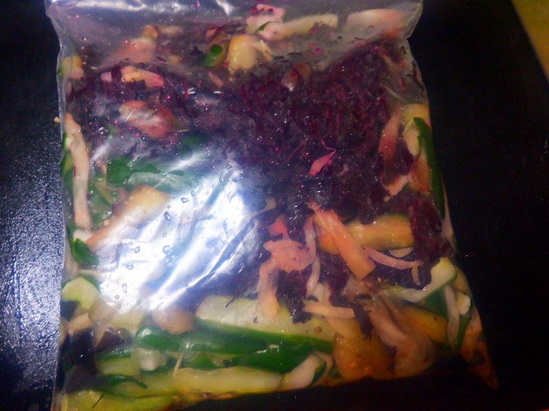 うさ 9 2 下漬けしたしば漬け きゅうり 茄子 新生姜 茗荷 は去年の赤紫蘇の塩漬けとみりんと酢を追加して冷凍 バックに入れて冷蔵して待つことにします 赤紫蘇の塩漬け作っておいた良かったと相当思いました 家庭菜園 きゅうり しば漬け T