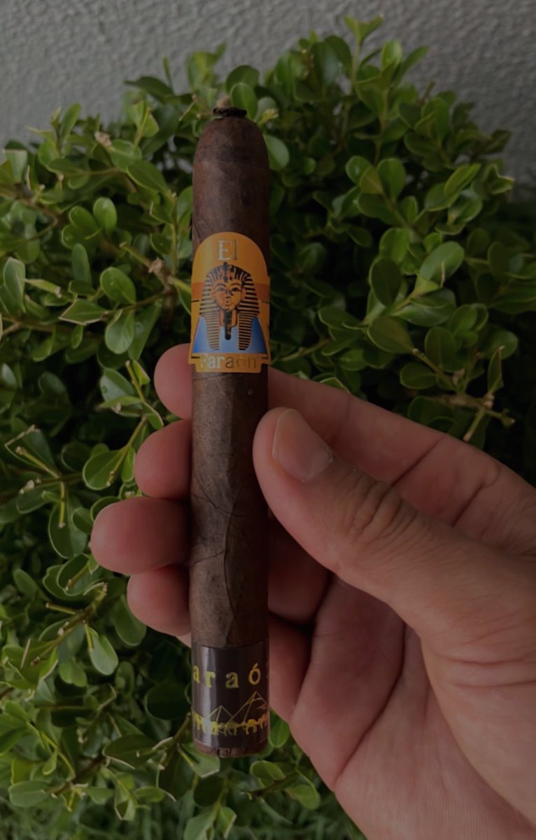 Dellllacruz's tweet photo. Rest time🌬
#Elfaraon
#Cigarlove https://t.co/XwdBaozRMl