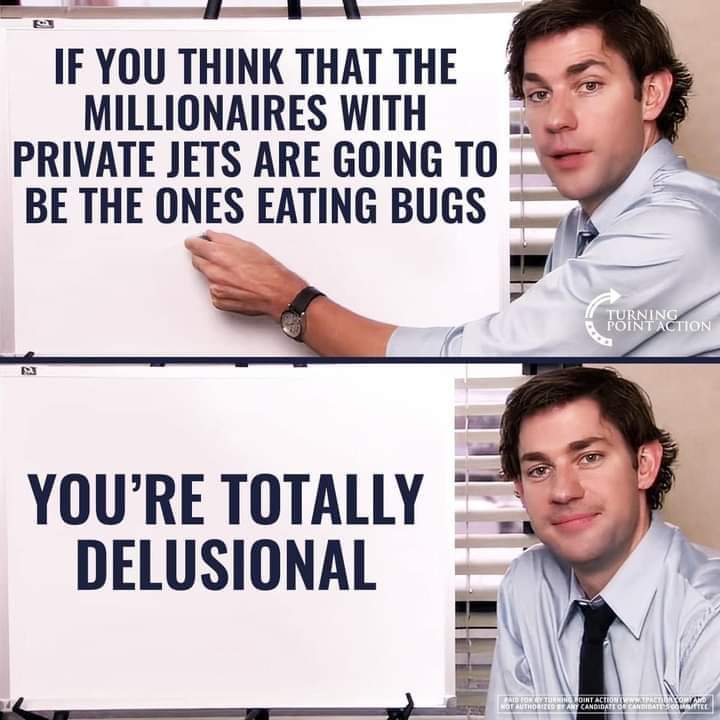 SabrinaMedjane's tweet photo. #TheGreatReset #WEF #Davos #KlausSchwab #EatingBugs #PrivateJets #Billionnaires #SocialCredit #ClimateCrisis #ClimateScam #EnergyPass https://t.co/agOCodODPg