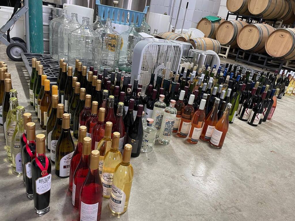 Debbie Gioquindo,CSW tweet media