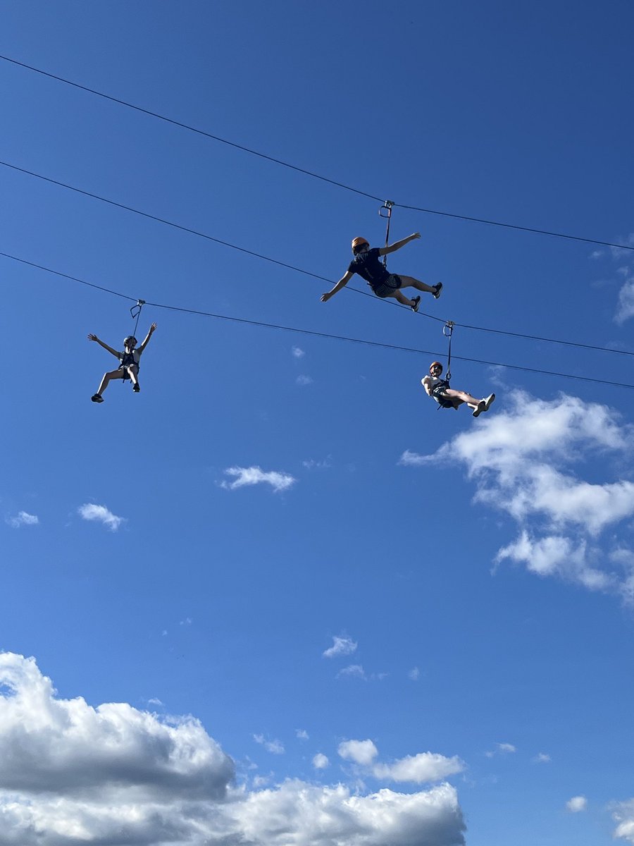 Sarah Whitty tweet media