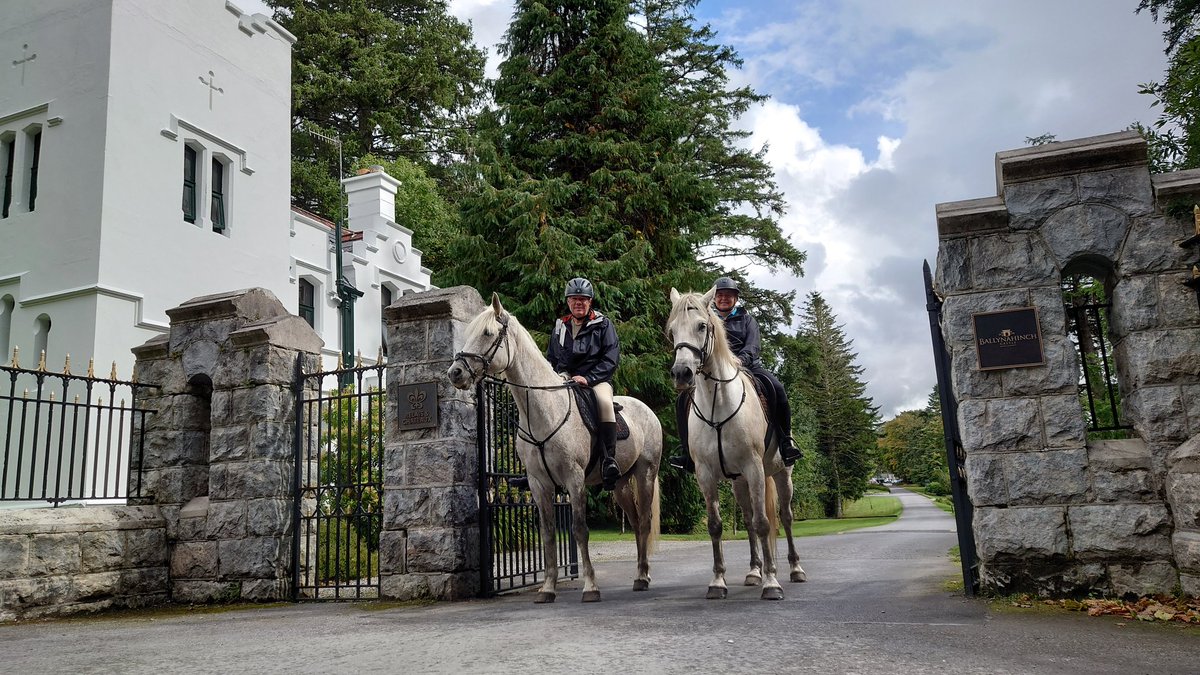 ConnemaraEquestrian tweet media