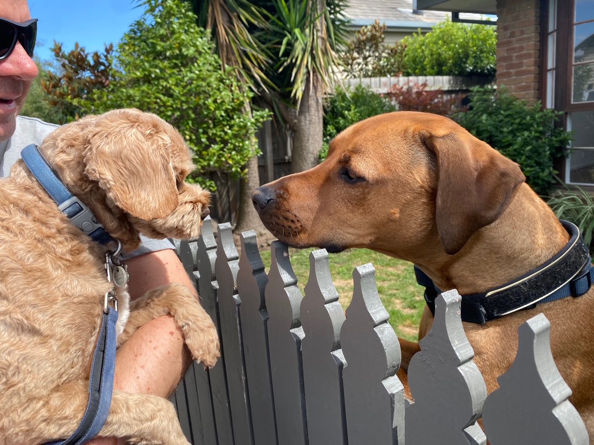 lyndalbox's tweet photo. This week Hubert has a message about learning.

“Hi, I’m Hubert.
Networking is great. I always learn something new.”

#Learning #LearningAndDevelopment #Geelong https://t.co/dezZjWr3T4