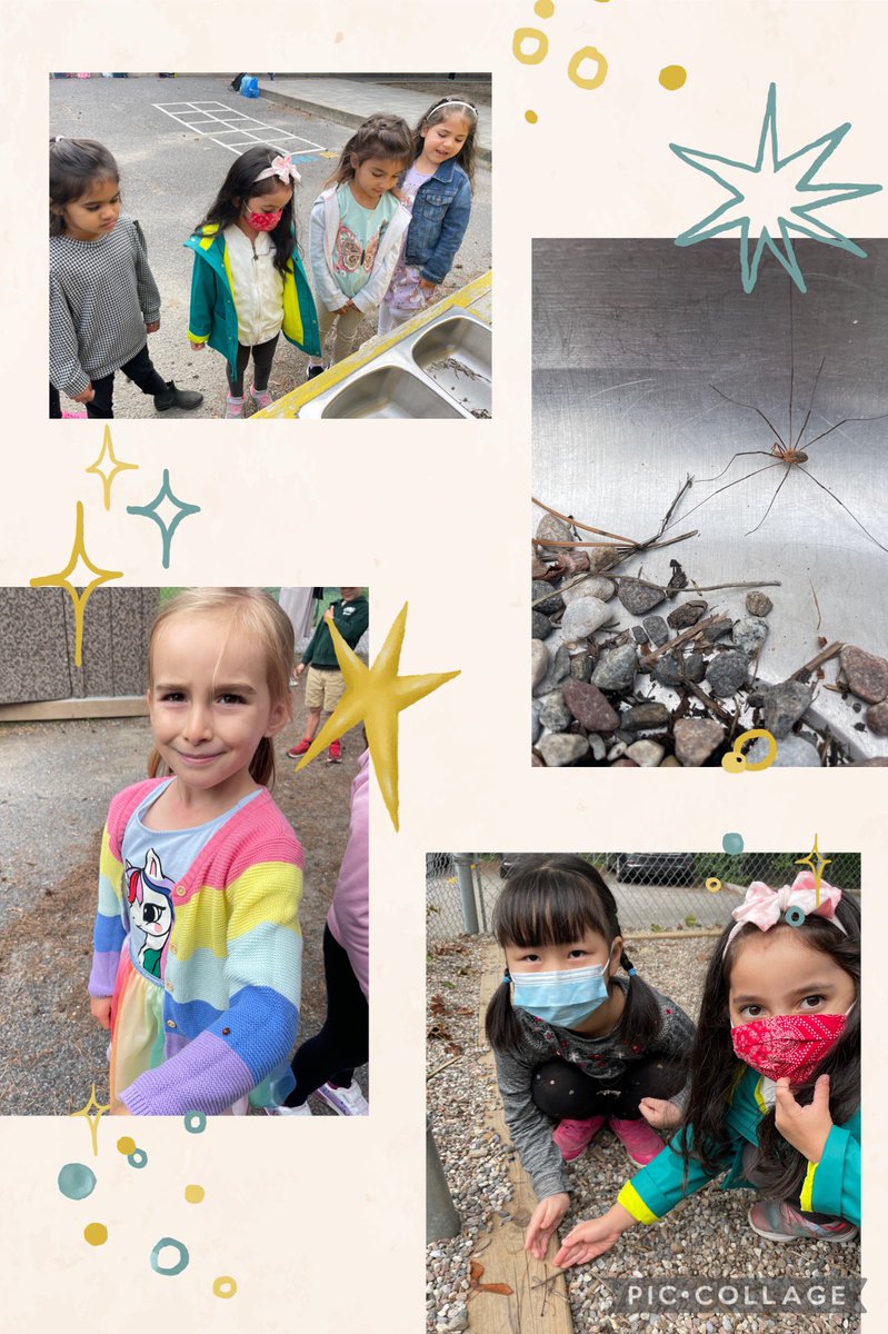 mrs_capy's tweet photo. Our K2 friends have been busy finding bugs in our yard! 🐞🕷 @grefrench @StGregoryOCSB https://t.co/snVskVczGs