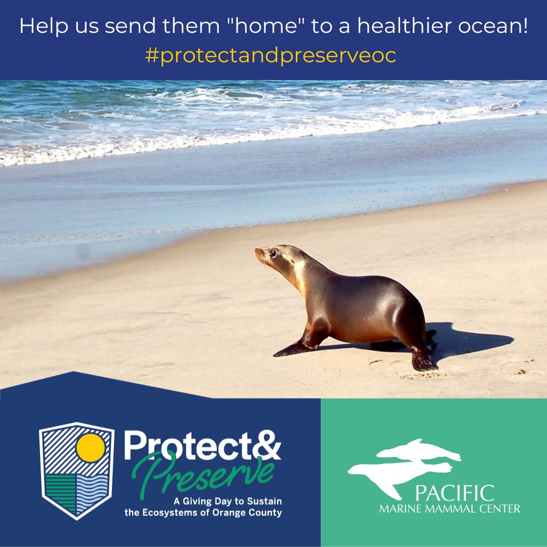 Today is #ProtectandPreserveOC, a 24 hour online giving day to sustain the ecosystems of Orange County! We have teamed up with 9 other to raise $100,000 for a thriving ecosystem now and for generations to come. Give Today: …rve-giving-day.ocnonprofitcentral.org/organizations/…