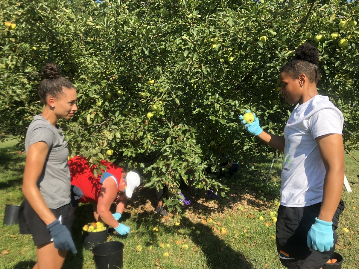 BlueKC's tweet photo. Blue KC, @thekccurrent, and the @GivingGrove are teaming up to give the boot to hunger. For every save by goalkeeper @ADizzle23, Blue KC will donate $100 in support of her “Playing for Trees” campaign. More: https://t.co/KzOBJJicTn #HungerActionMonth #EndHungerKC https://t.co/lK1Obpoupw