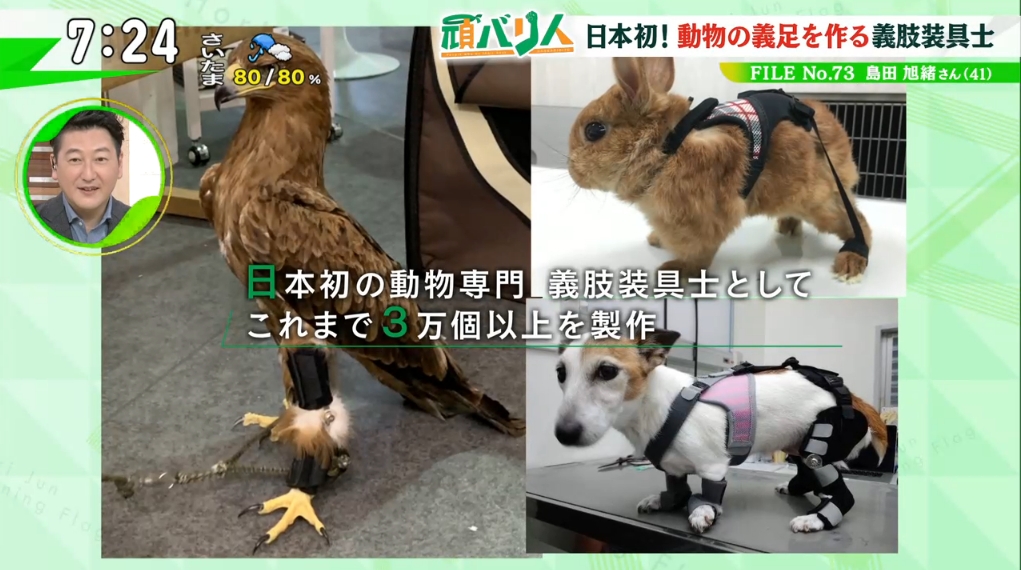 東洋装具 Twitter Search Twitter 東洋装具 Twitter Search Twitter